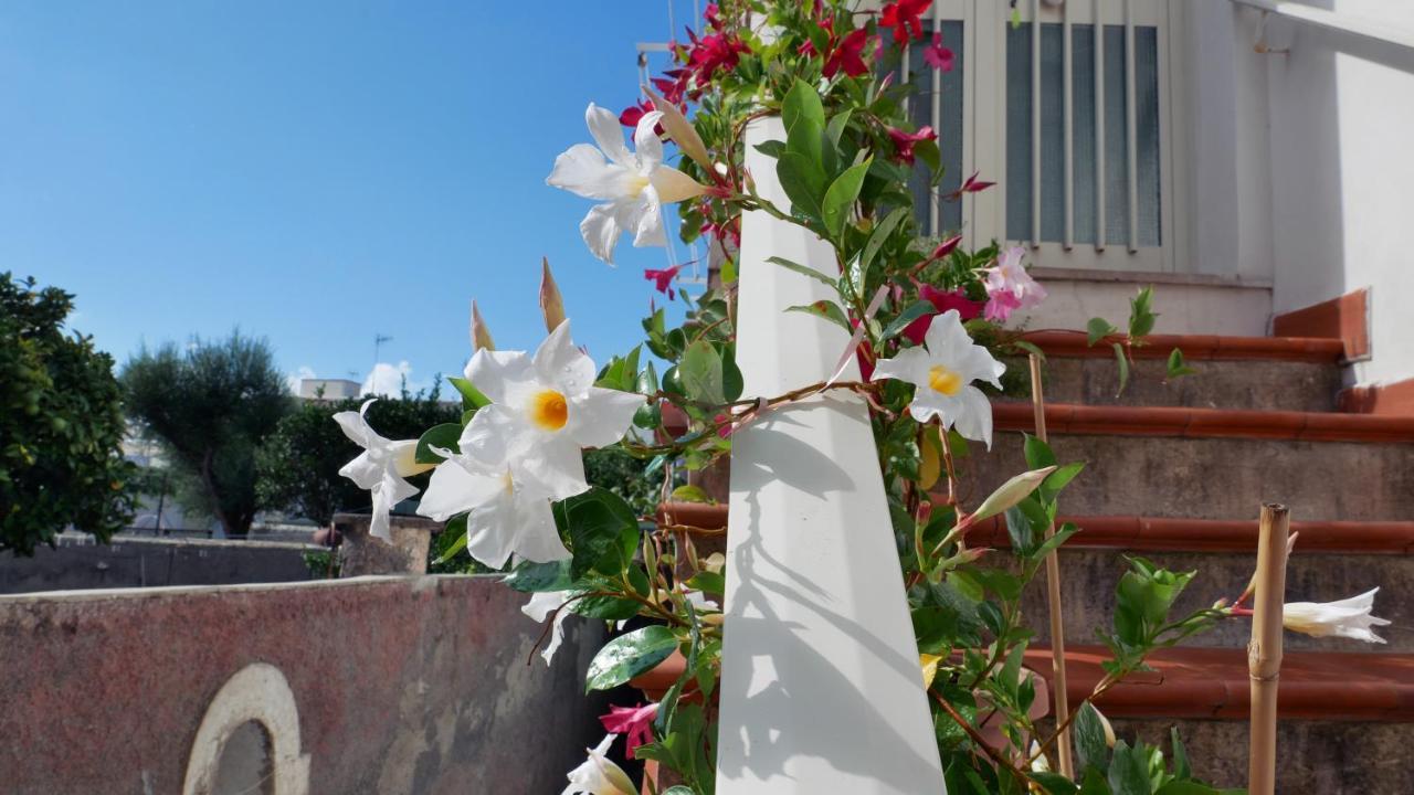Casa Sunrise Anacapri (Isola di Capri)
